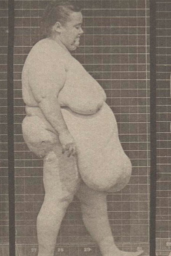 Large Woman Walking poster