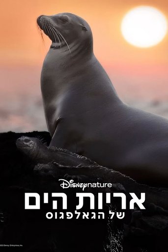 אריות הים של הגאלפגוס