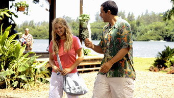50 First Dates backdrop 3