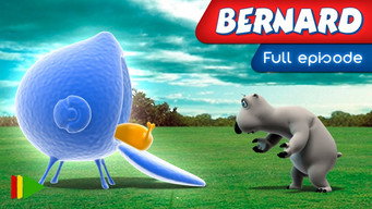 Berni T1E46