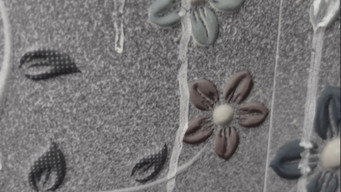 Etched Flowers (2026)