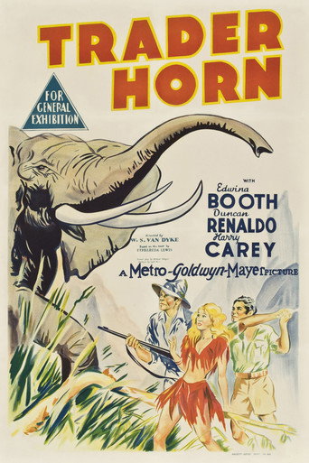 Poster 12