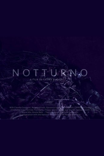 Notturno