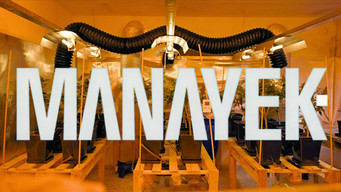 #4 Manayek