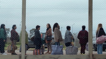 The Woman in the Line (2025)