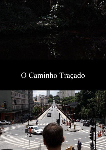 O Caminho Traçado
