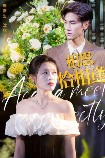 相思恰相逢 poster