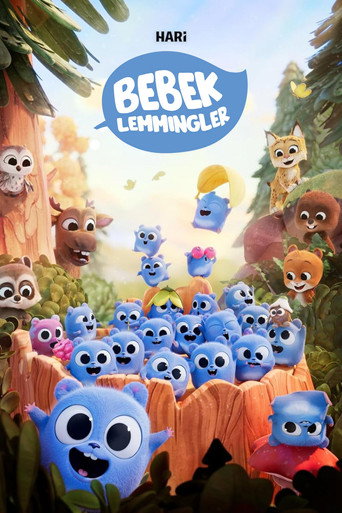 1. Bölüm