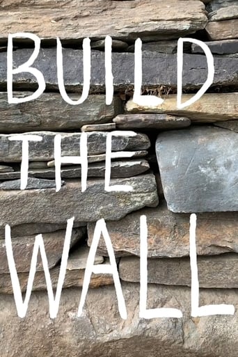 Poster of Build the Wall