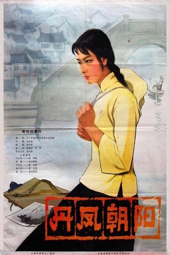 Poster of A Embroider Maiden