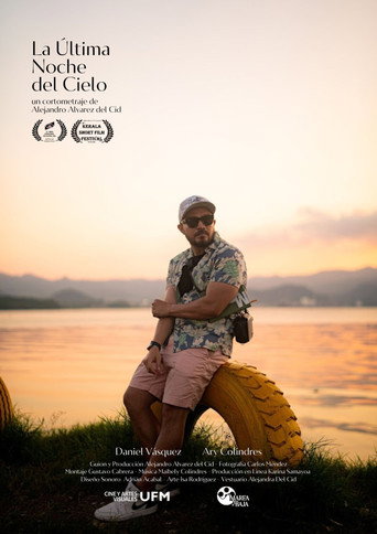 Poster 6