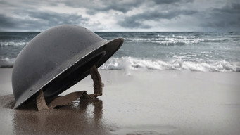 D-Day: 80th Anniversary (2024)