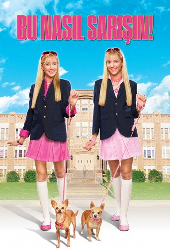 Poster 1