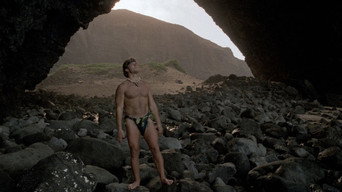 #23 Surrender in Paradise