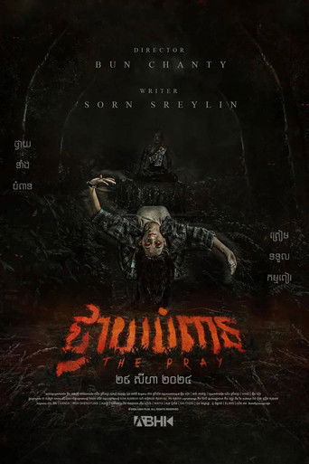 movie poster for The Pray