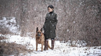 Венера в хутрі (2012)