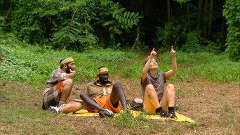 Survivor S19E14 poster