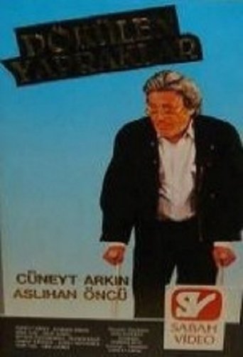 Watch Dökülen Yapraklar Full Movie Online Putlockers Watch Dökülen Yapraklar Full Movie Online Putlockers