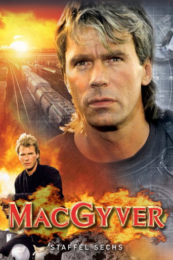 Staffel 6