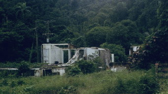 #4 This House