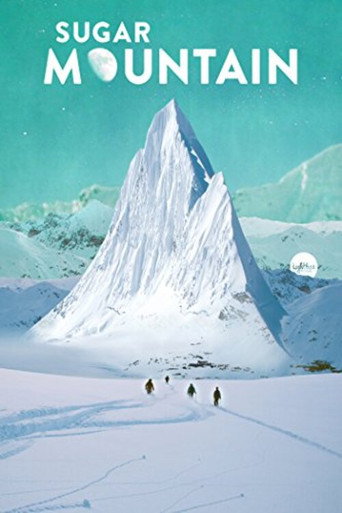 Sugar Mountain (2014)