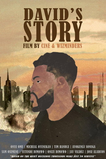 Cartell de David's Story