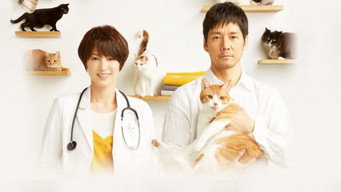 Коти з ковдрами (2017)