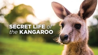 #2 Secret Life of the Kangaroo