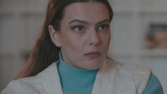 Episode 14 — Episode 14