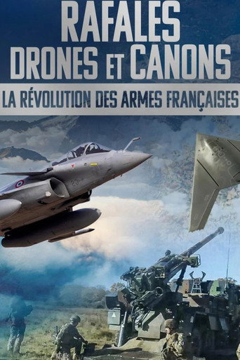 Rafale, drones et canons : la r&eacute;volution des armes fran&ccedil;aises