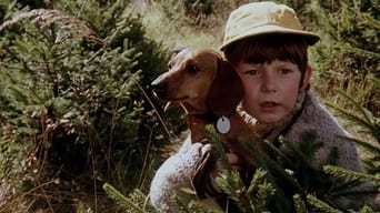 On the Poachers Trail (1979)