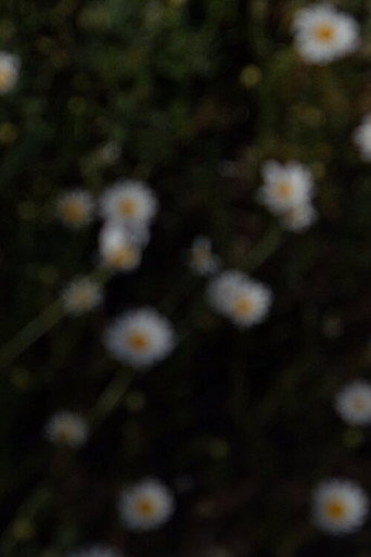 25 aprile
