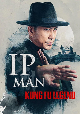 Ip Man Kung Fu Legend