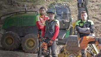 Undercut: l'oro di legno (2019- )
