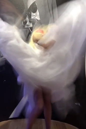 1525: Anagenisis poster