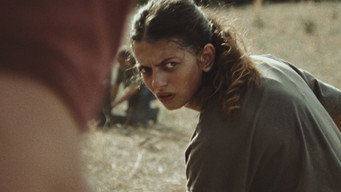 The Kingdom (2024)