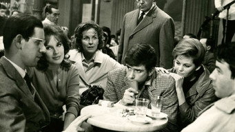 The Dolphins (1960)