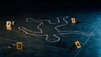Staged: Deadly Deception (2026- )