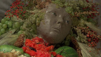 Флора (1989)
