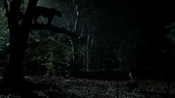 #11 Тропічна хвороба