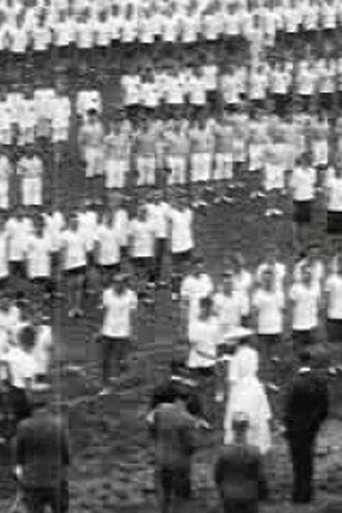 Legersport demonstratie