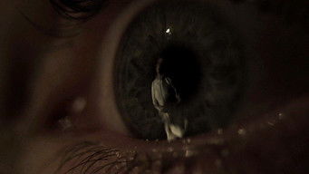 Galeria 2 - Soy la bonita criatura que vive en esta casa