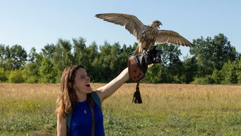 My Falcon (2023)
