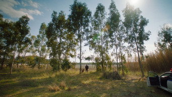 Arcadia (2024)
