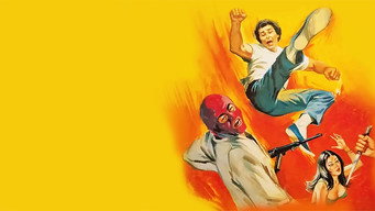 Karate vs. Mafia (1981)