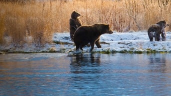 #6 Alaska's Grizzly Gauntlet