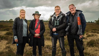 1 døgn, 2 hold, 3 dyr (2018- )