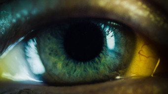 Nocebo media image