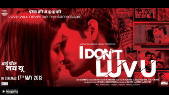 I Don't Luv U (2013)