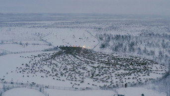 #8 Historja  Stitches for Sapmi
